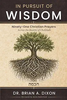 Cover of In Pursuit of Wisdom by Dr. Brian A. Dixon